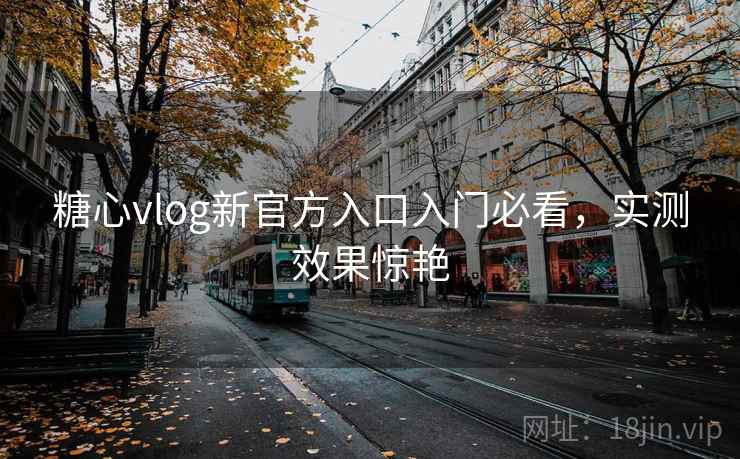 糖心vlog新官方入口入门必看，实测效果惊艳