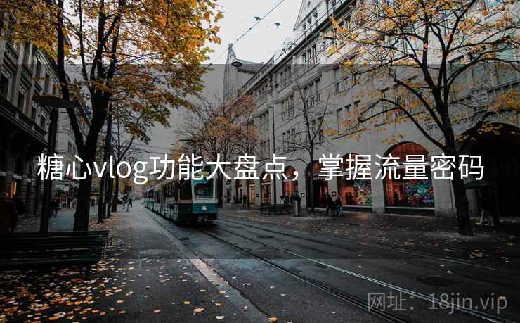 糖心vlog功能大盘点，掌握流量密码