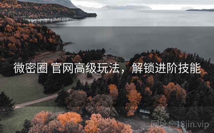微密圈 官网高级玩法，解锁进阶技能